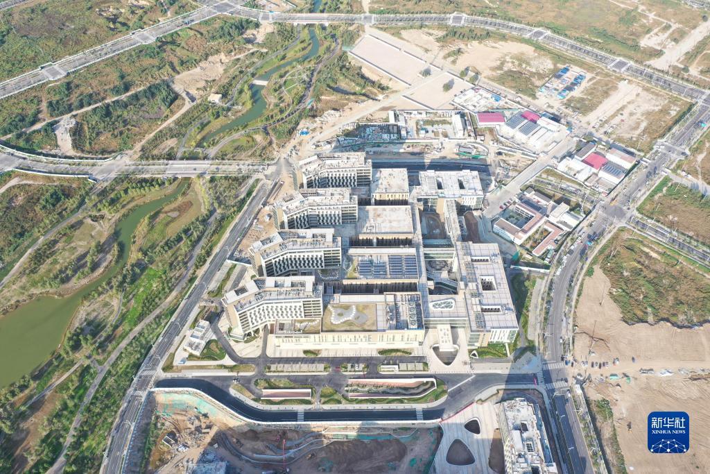 五龙争霸app